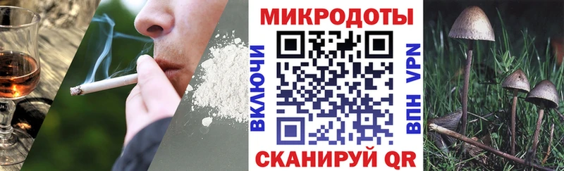 Псилоцибиновые грибы мицелий kraken сайт Поворино